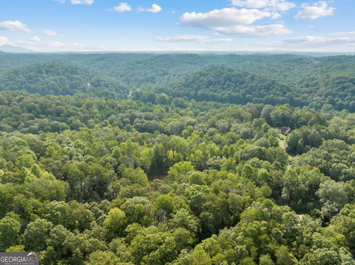 2041 Long Branch Road, Unit TRACT 2A Dahlonega, GA 30533 - Photo 16 of 24 an aerial view of residential houses with outdoor space and trees