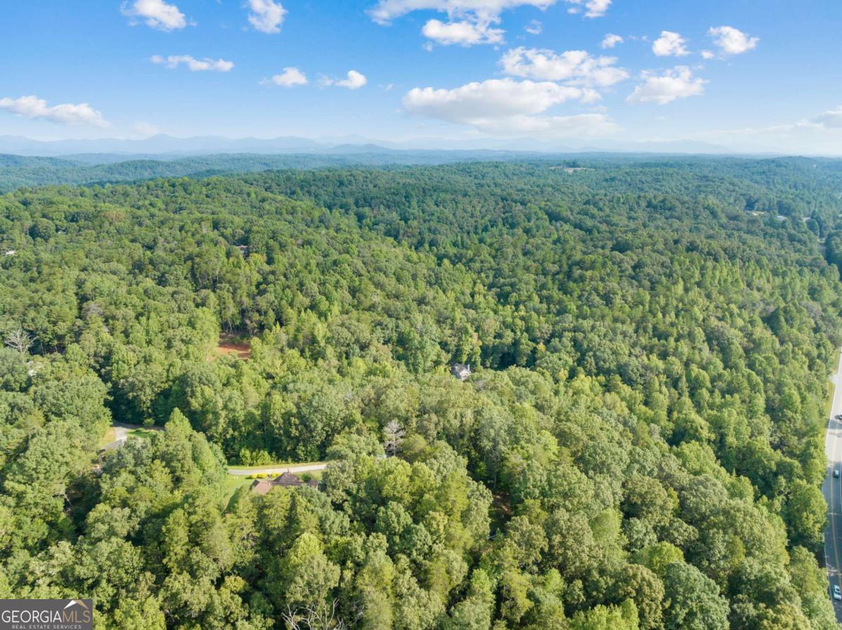 2041 Long Branch Road, Unit TRACT 2A Dahlonega, GA 30533 - Photo 20 of 24 a view of a green field with lots of bushes
