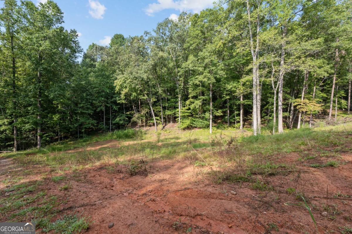 2041 Long Branch Road, Unit TRACT 2A Dahlonega, GA 30533 - Photo 2 of 24 a view of outdoor space with trees all around