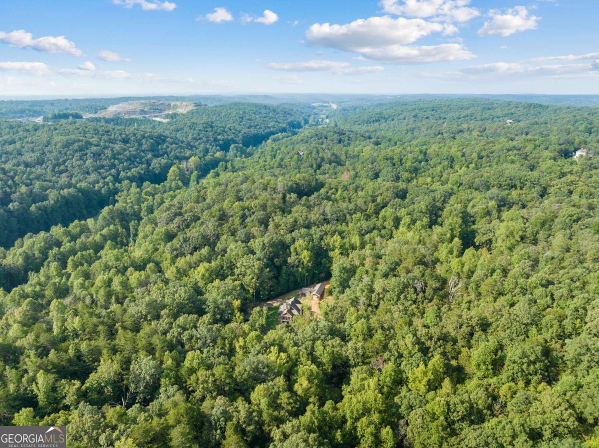 2041 Long Branch Road, Unit TRACT 2A Dahlonega, GA 30533 - Photo 21 of 24 a view of a green field with lots of bushes