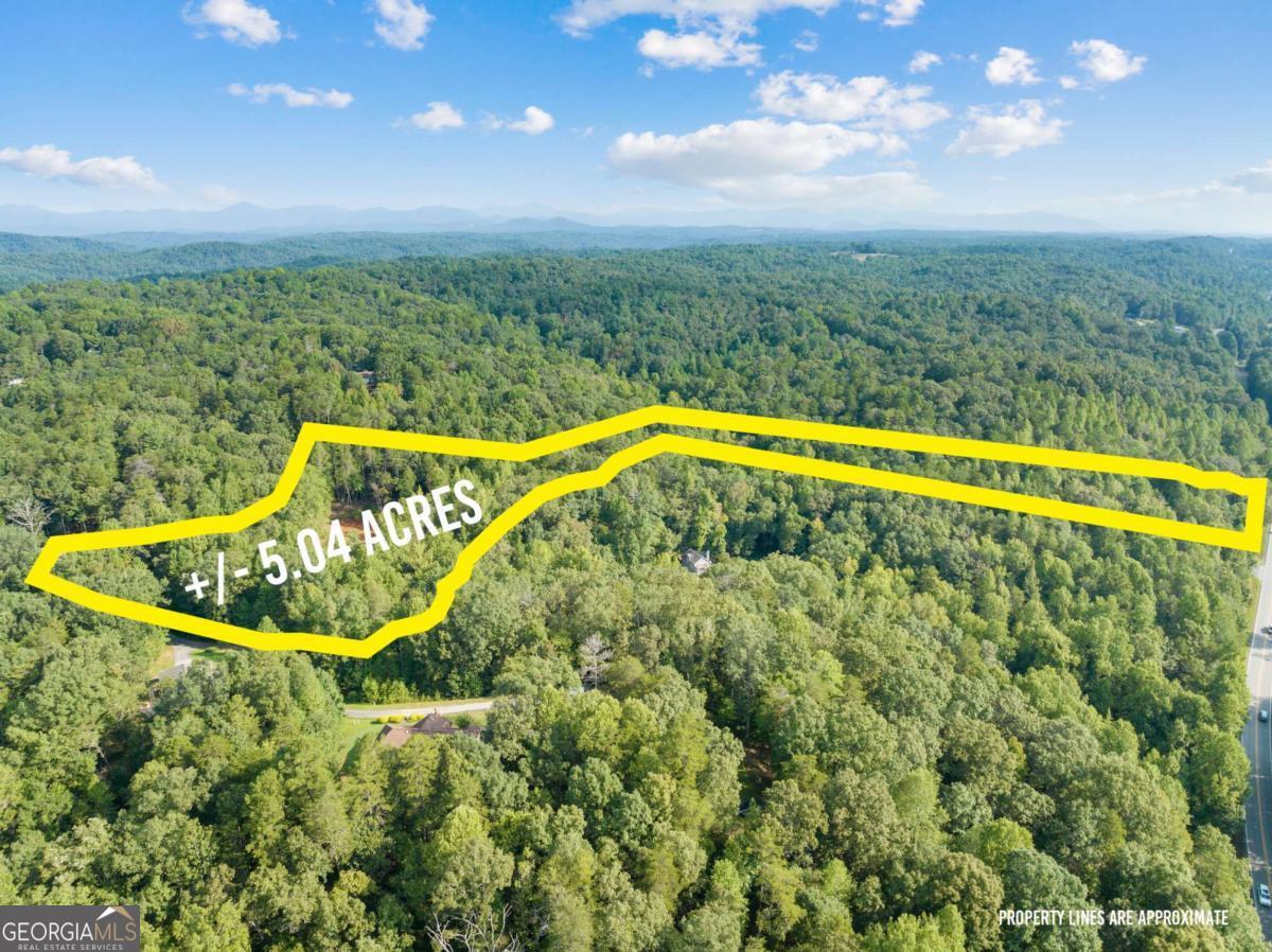 2041 Long Branch Road, Unit TRACT 2A Dahlonega, GA 30533 - Photo 23 of 24 a view of a swimming pool with a garden