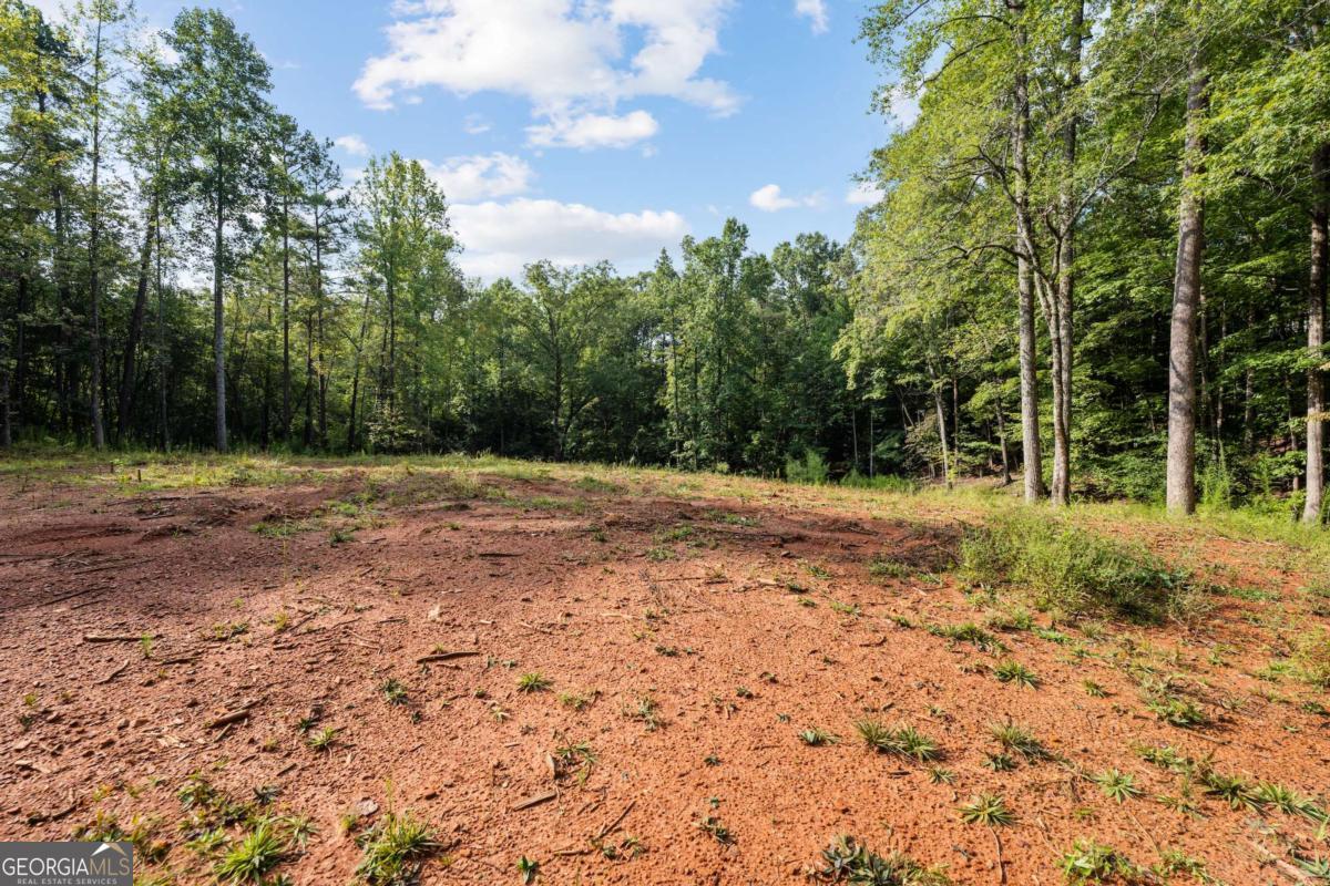 2041 Long Branch Road, Unit TRACT 2A Dahlonega, GA 30533 - Photo 4 of 24 a view of outdoor space with trees all around