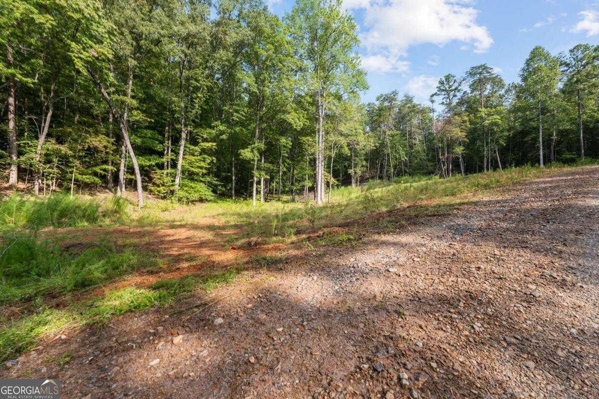 2041 Long Branch Road, Unit TRACT 2A Dahlonega, GA 30533 - Photo 6 of 24 a view of a park