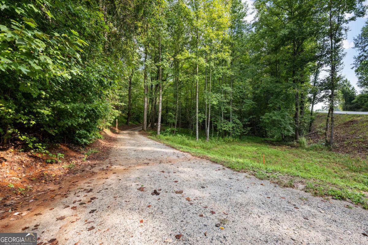 2041 Long Branch Road, Unit TRACT 2A Dahlonega, GA 30533 - Photo 7 of 24 a view of a field with trees in the background