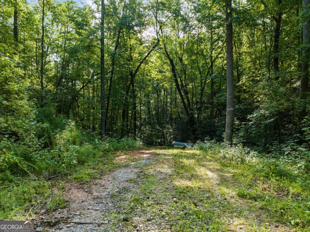 2041 Long Branch Road, Unit TRACT 2A Dahlonega, GA 30533 - Photo 9 of 24 a view of outdoor space with deck and yard