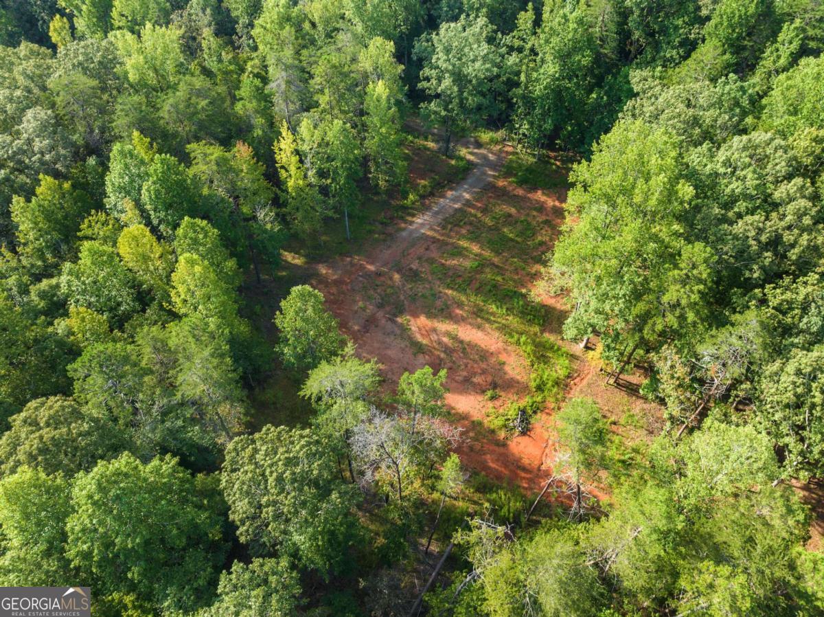 2041 Long Branch Road, Unit TRACT 2A Dahlonega, GA 30533 - Photo 10 of 24 a backyard of a house with lots of green space
