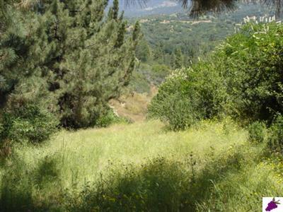 0 Bluebird Lane Miramonte, CA 93641 - Photo 8 of 8 Gallery Image 8