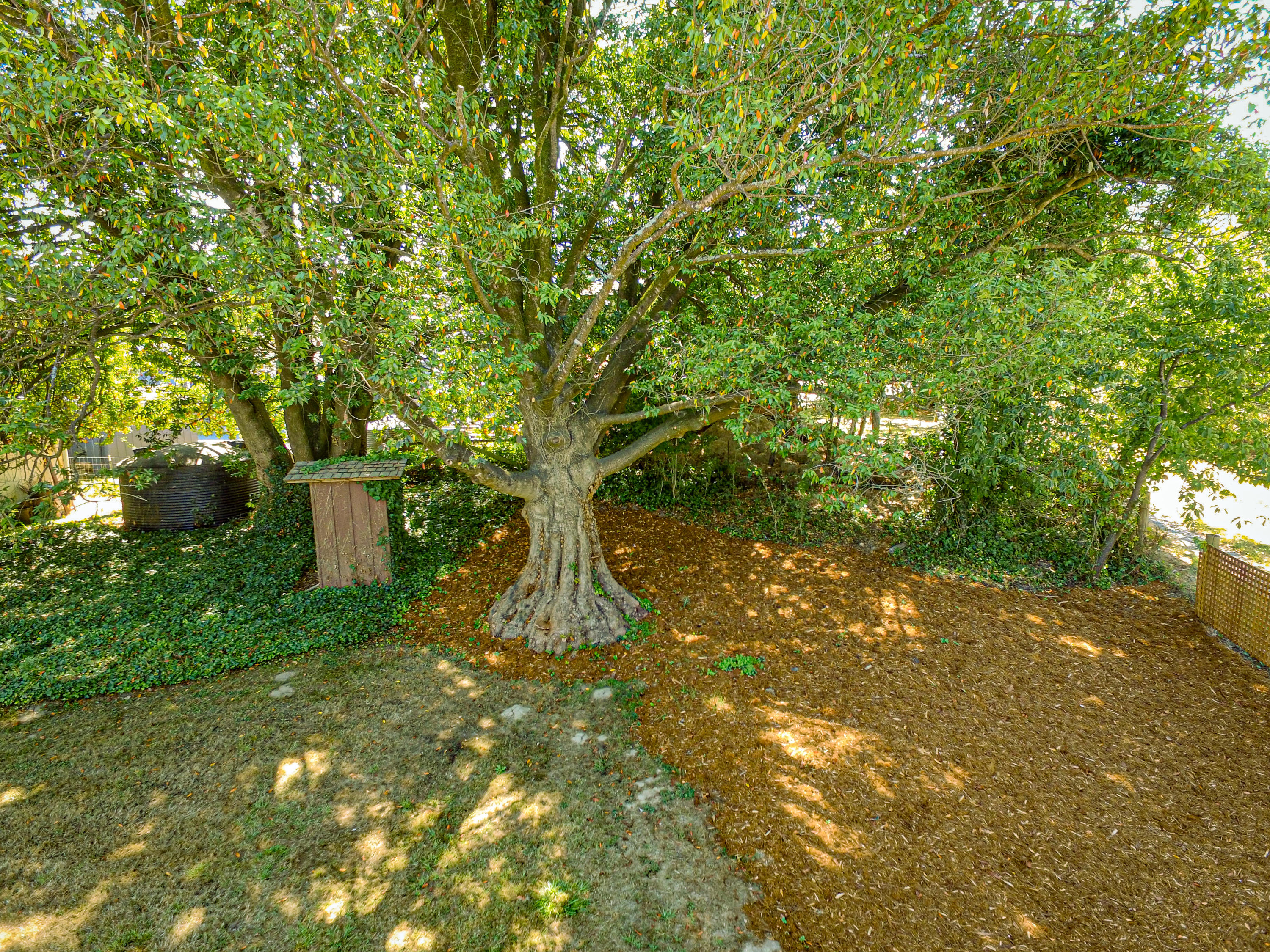 1430 Hatchery Road Arcata, CA 95521 - Photo 66 of 103 Back Yard