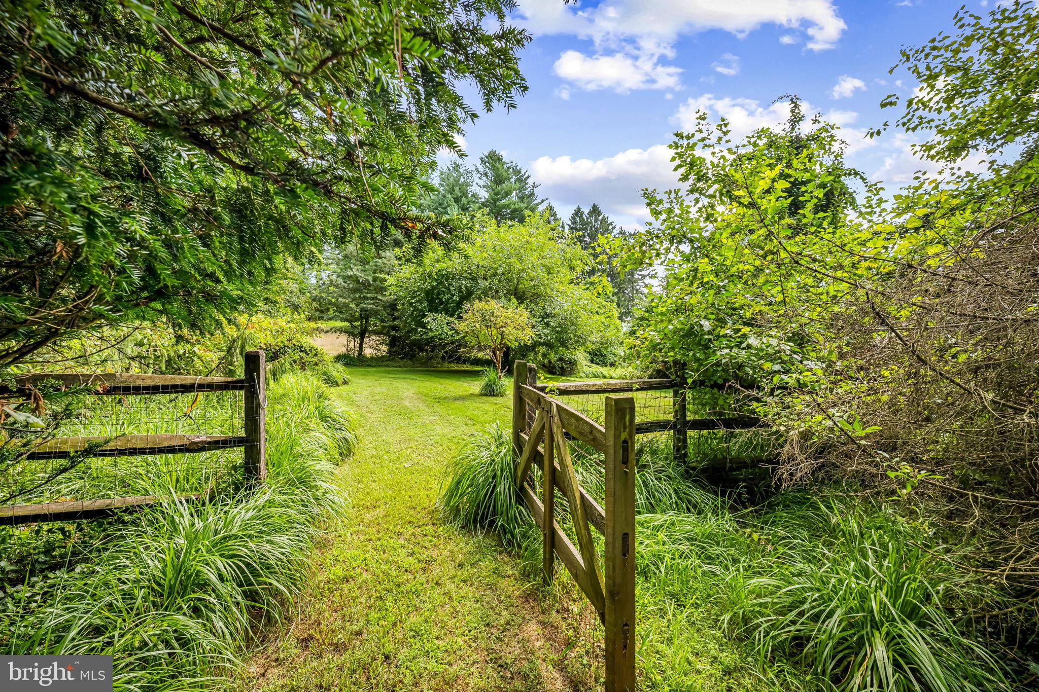 727 Old Belfast Road Sparks, MD 21152 - Photo 33 of 55 Serene path through lush greenery.