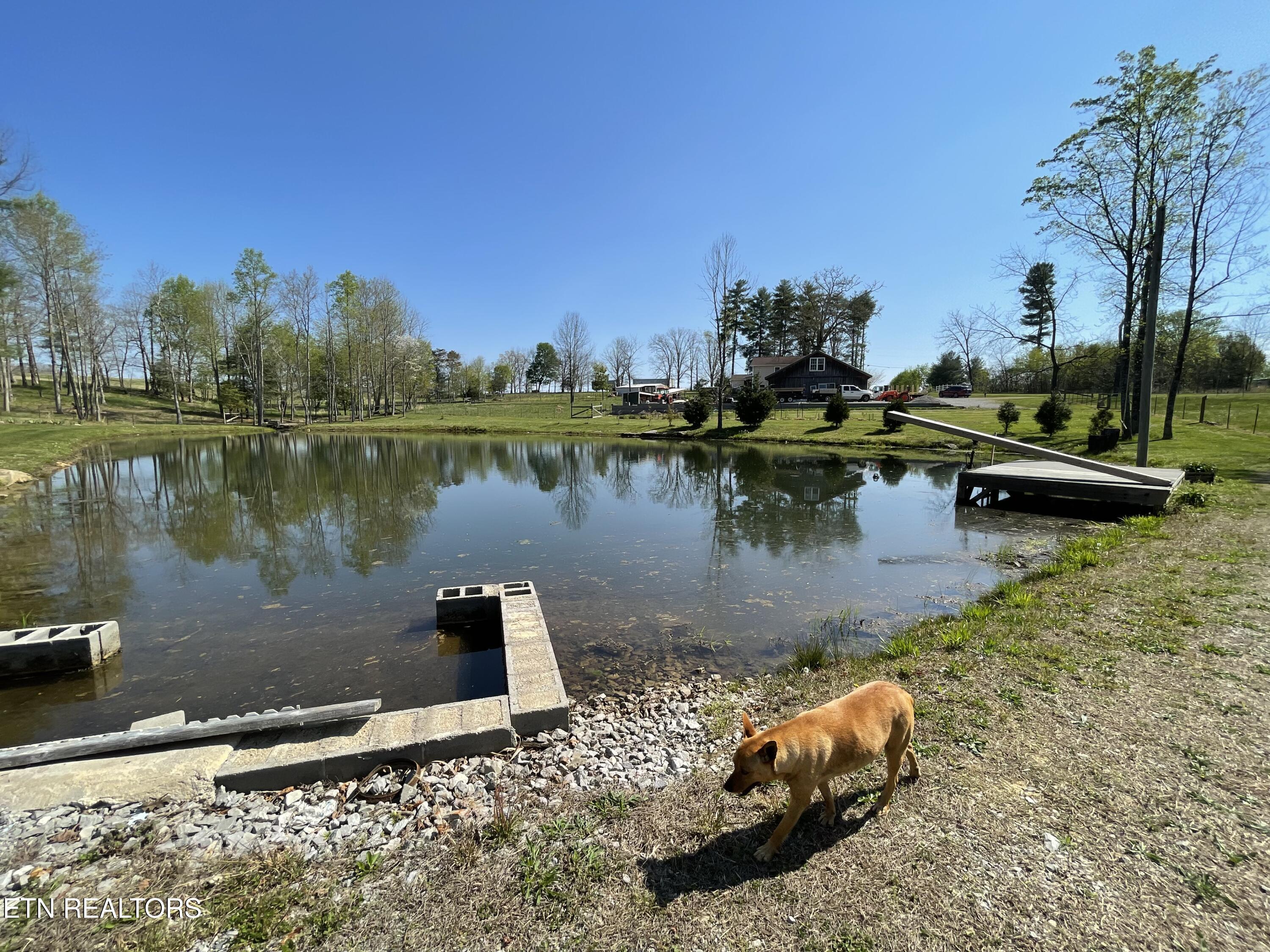 1951 Hall Road Clarkrange, TN 38553 - Photo 2 of 46 IMG_9500