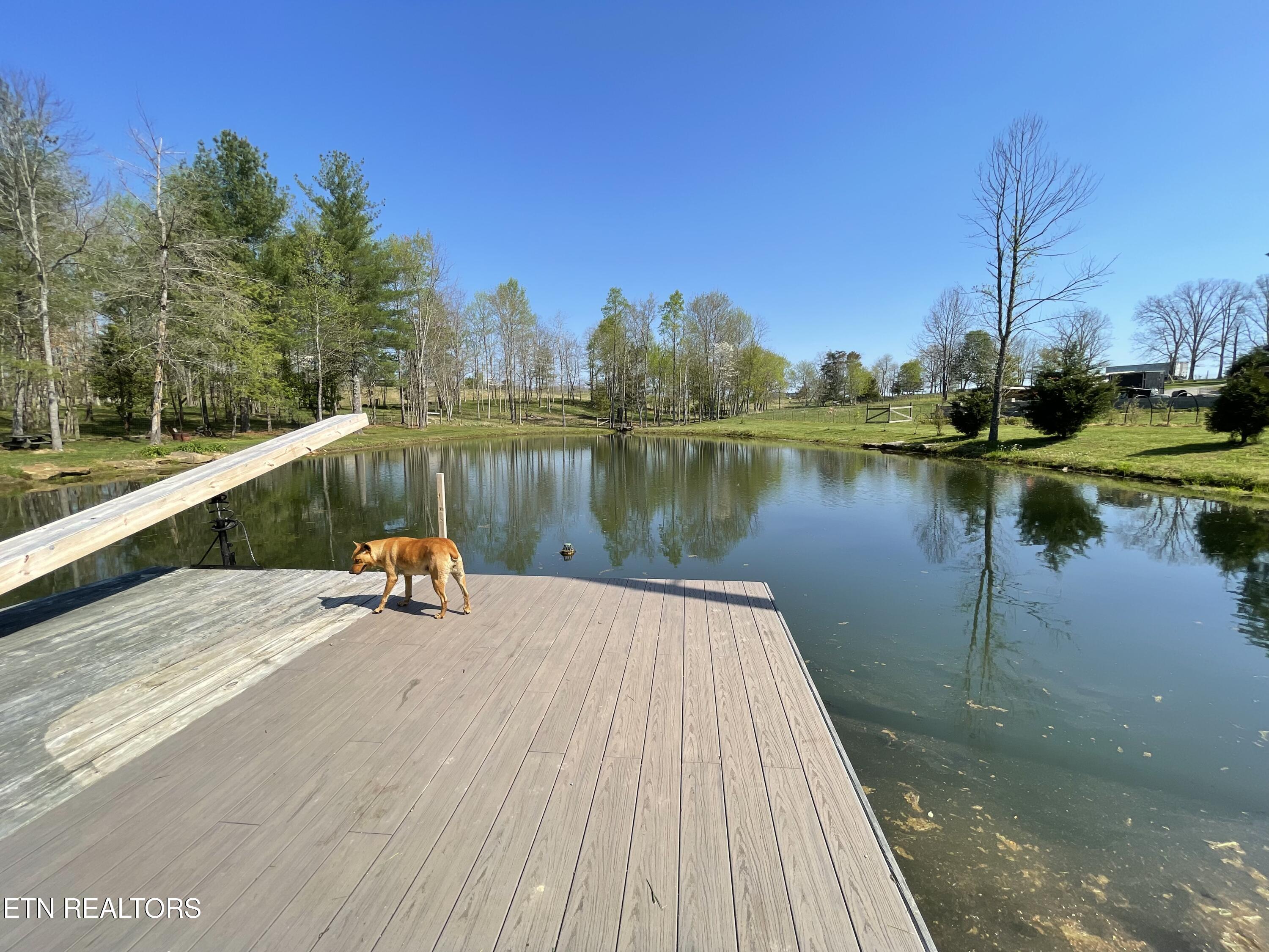 1951 Hall Road Clarkrange, TN 38553 - Photo 3 of 46 IMG_9499