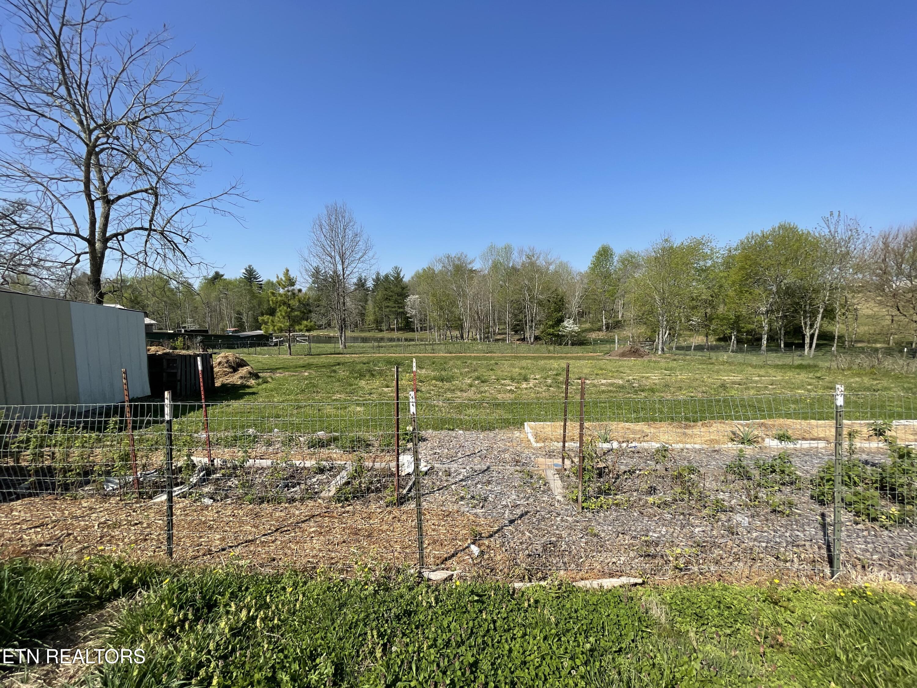 1951 Hall Road Clarkrange, TN 38553 - Photo 5 of 46 IMG_9474