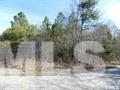 2148 Harris Road Rougemont, NC 27572 - Photo 1 of 3 a view of a yard