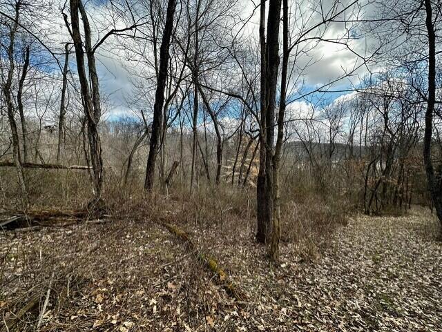 6778 Clearport Road Southwest Lancaster, OH 43130 - Photo 62 of 78 thumbnail_6778 Clearport- land pictures