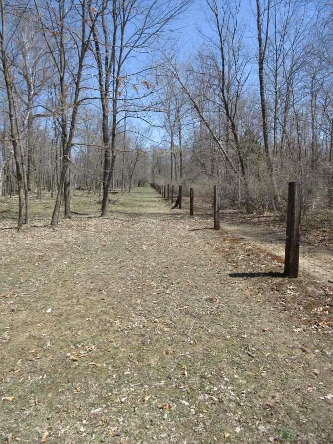 6277 Sheridan Road Vassar, MI 48768 - Photo 67 of 70 Gallery Image 67
