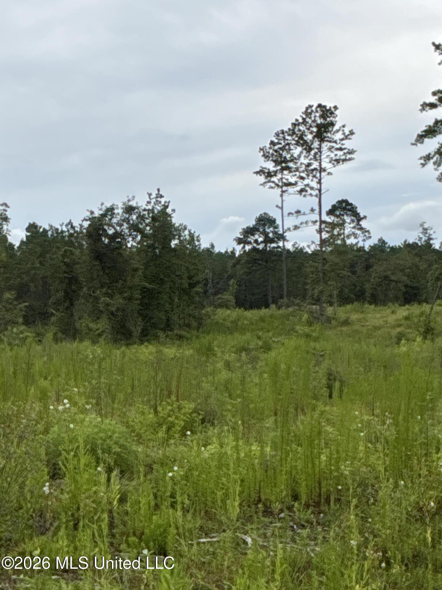 Kirklin Road Tylertown, MS 39667 - Photo 8 of 20 IMG_3094