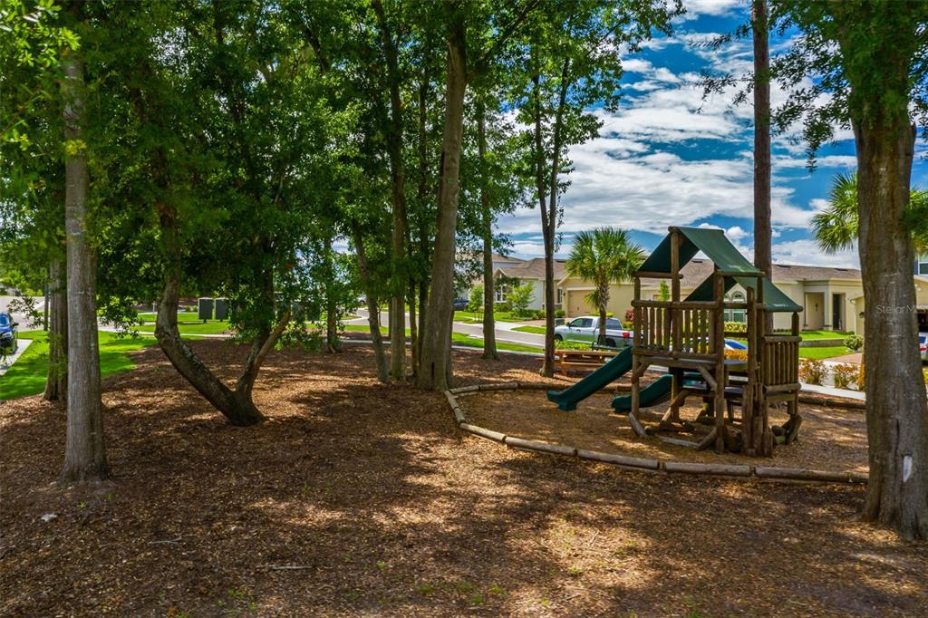 2541 Red Berry Way Ocoee, FL 34761 - Photo 39 of 49