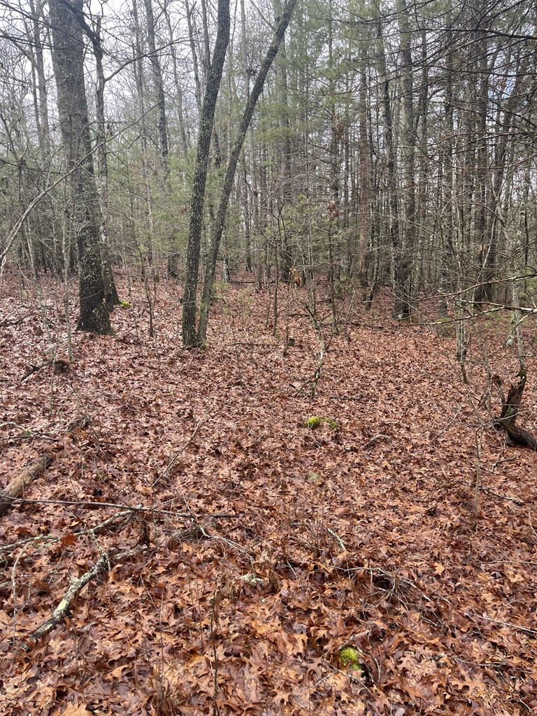 Lot 17 Sunny Point Ridge Murphy, NC 28906 - Photo 5 of 6