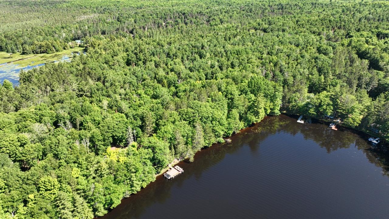 Lot A Luebbing Road Three Lakes, WI 54562 - Photo 4 of 14