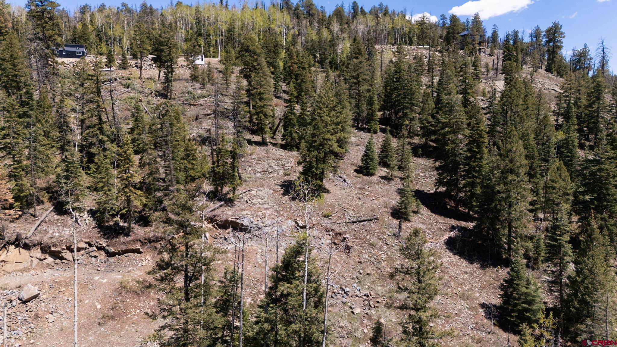 361 Deer Run Way Durango, CO 81301 - Photo 22 of 29 a view of a covered with trees