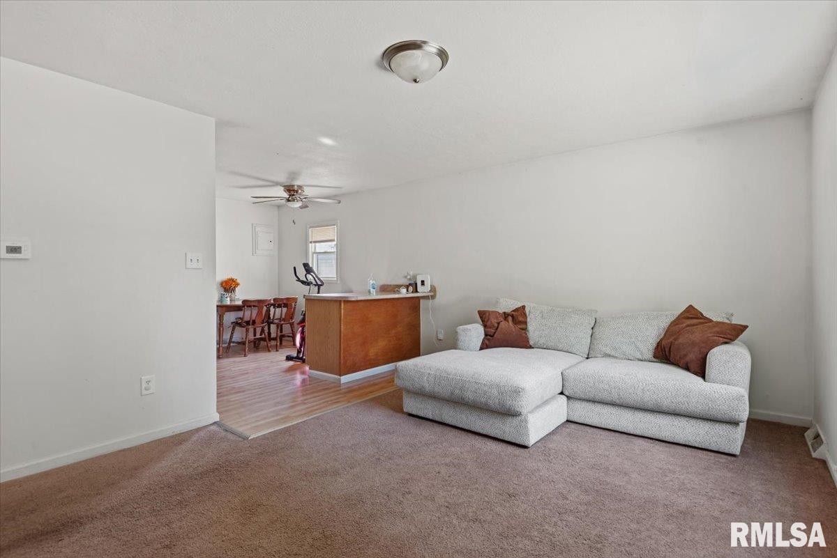 16 Salem Road Springfield, IL 62702 - Photo 4 of 28 Gallery Image 4