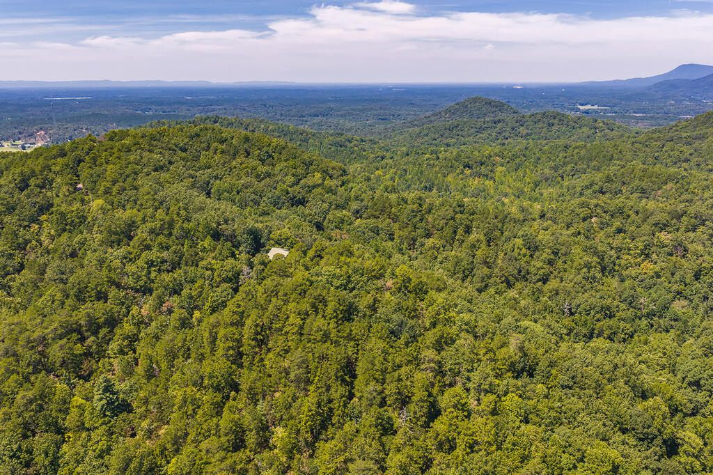 694-695 Railey Ridge Ranger, GA 30734 - Photo 2 of 17 Gallery Image 2