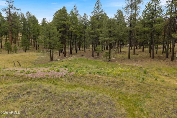 $180,000 | 2121 Alpine Az 85920, Alpine, AZ 85920