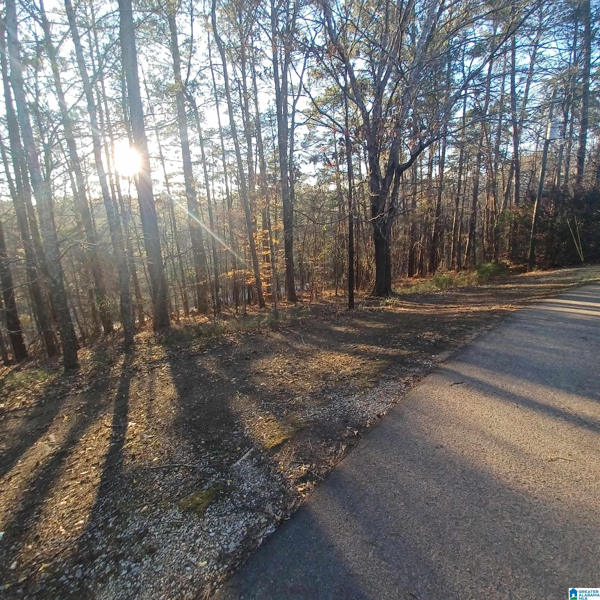 7459 15th Street Road Bessemer, AL 35023 - Photo 17 of 97 Gallery Image 17