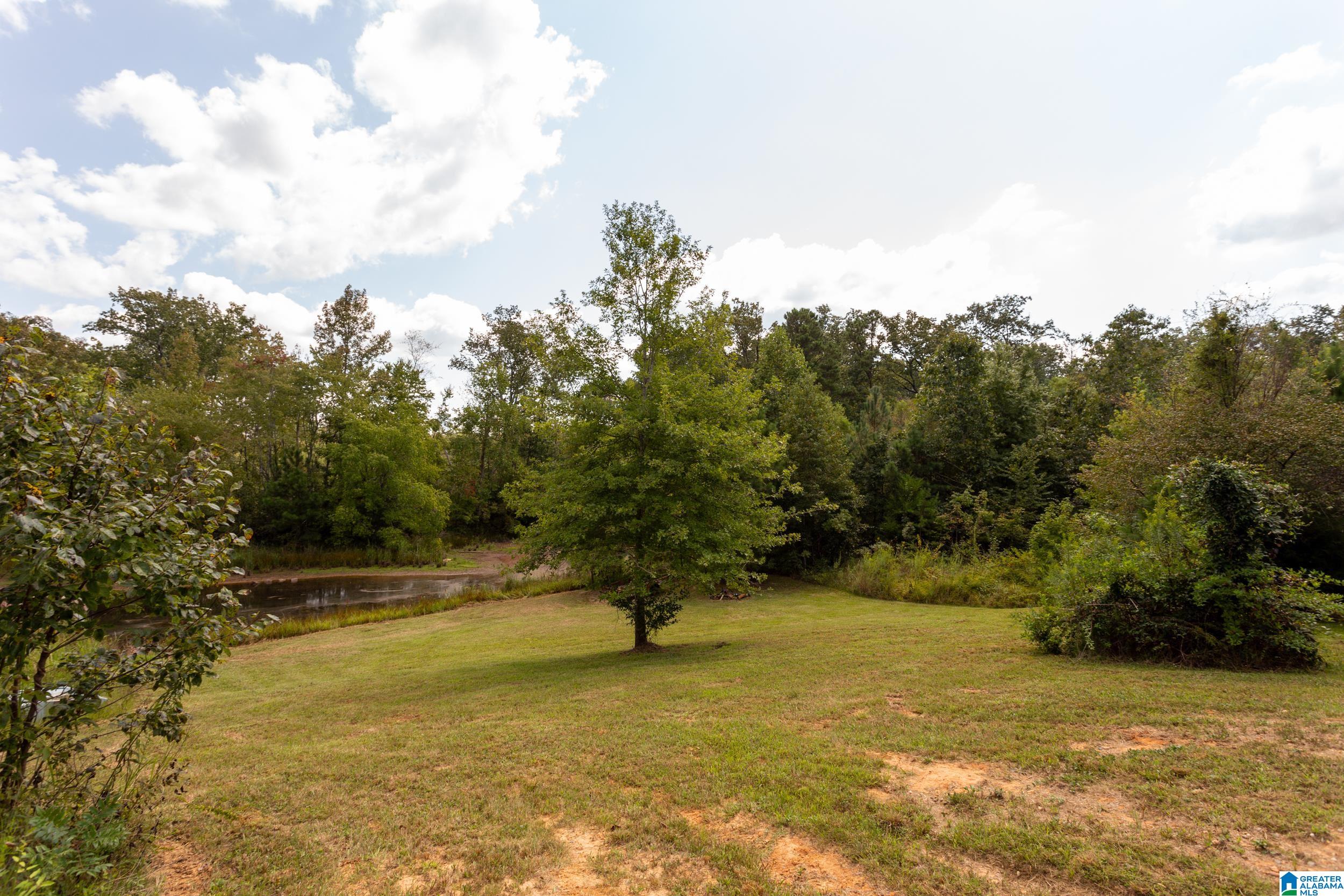 1182 Lynch Lake Road Odenville, AL 35120 - Photo 35 of 39