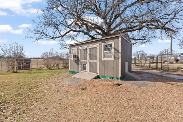 a view of a yard with a large tree
