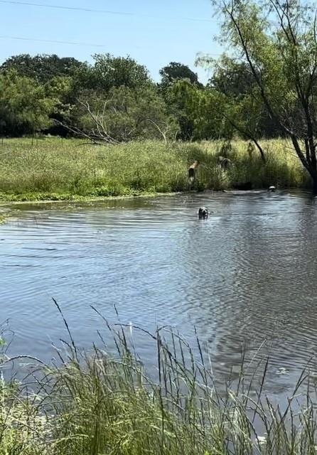 1366 HCR 1414 Covington, TX 76636 - Photo 38 of 39 Spring time on the property