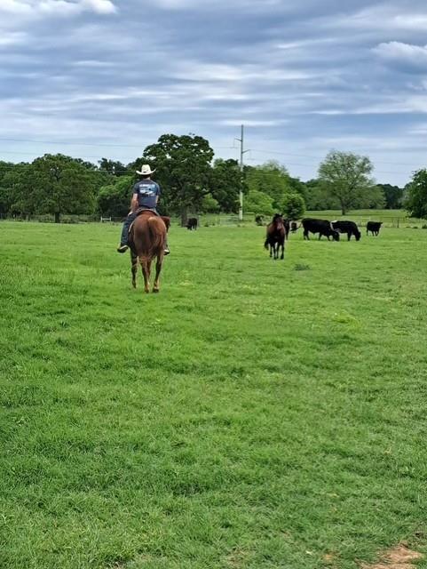 1366 HCR 1414 Covington, TX 76636 - Photo 39 of 39 Spring time at the property