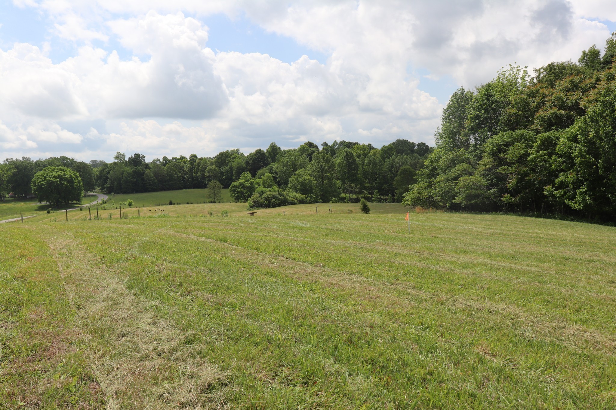 6 Sadlers Chapel Road Lafayette, TN 37083 - Photo 12 of 20 Gallery Image 12