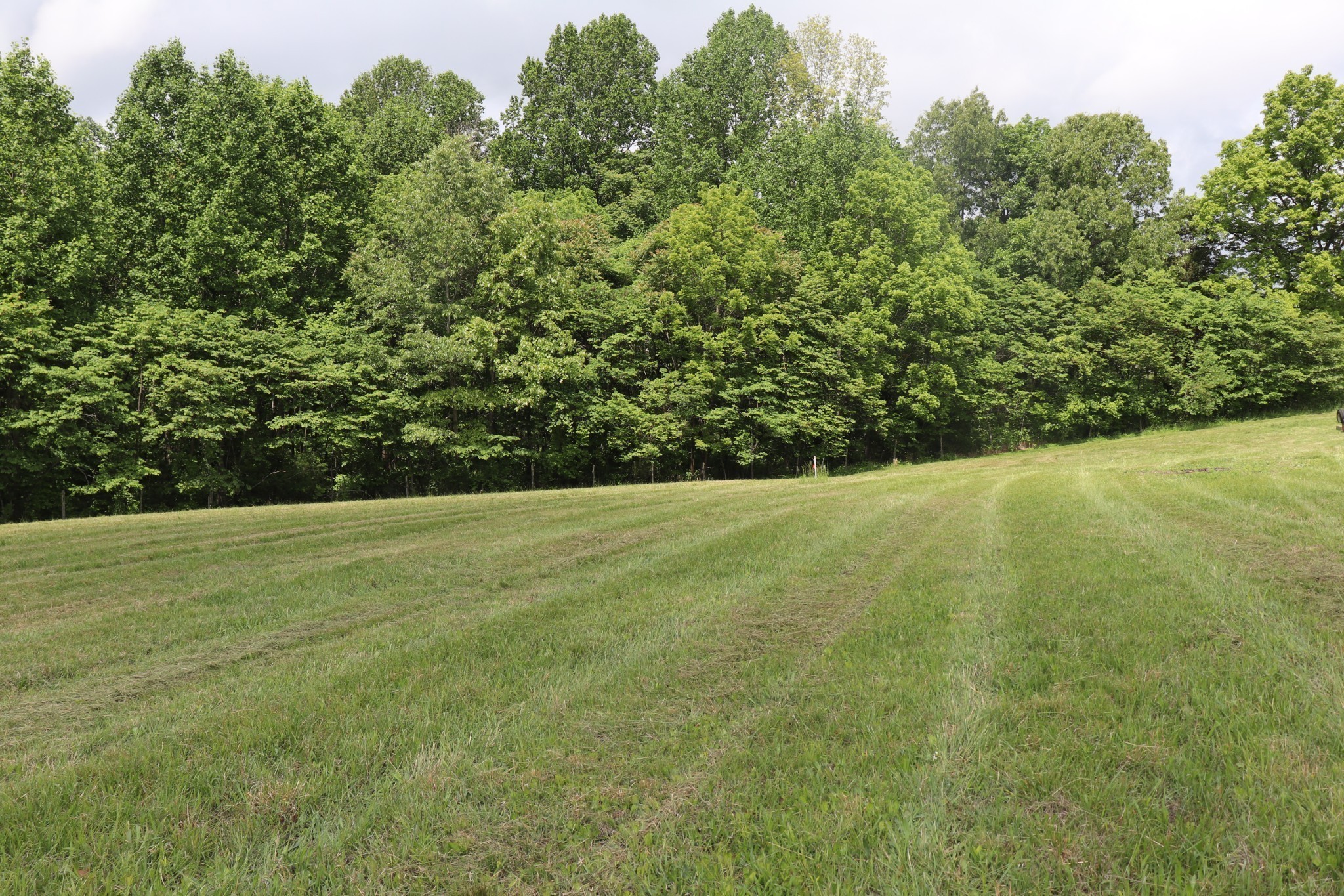 6 Sadlers Chapel Road Lafayette, TN 37083 - Photo 14 of 20 Gallery Image 14