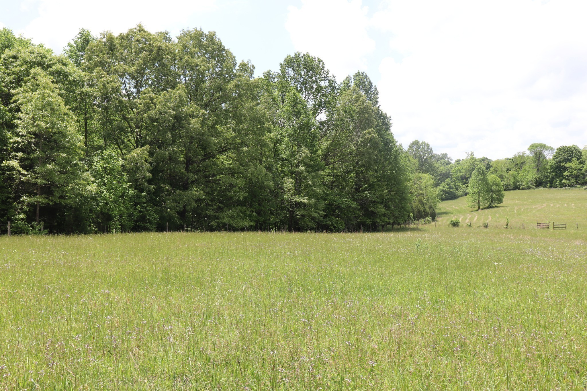 6 Sadlers Chapel Road Lafayette, TN 37083 - Photo 16 of 20 Gallery Image 16