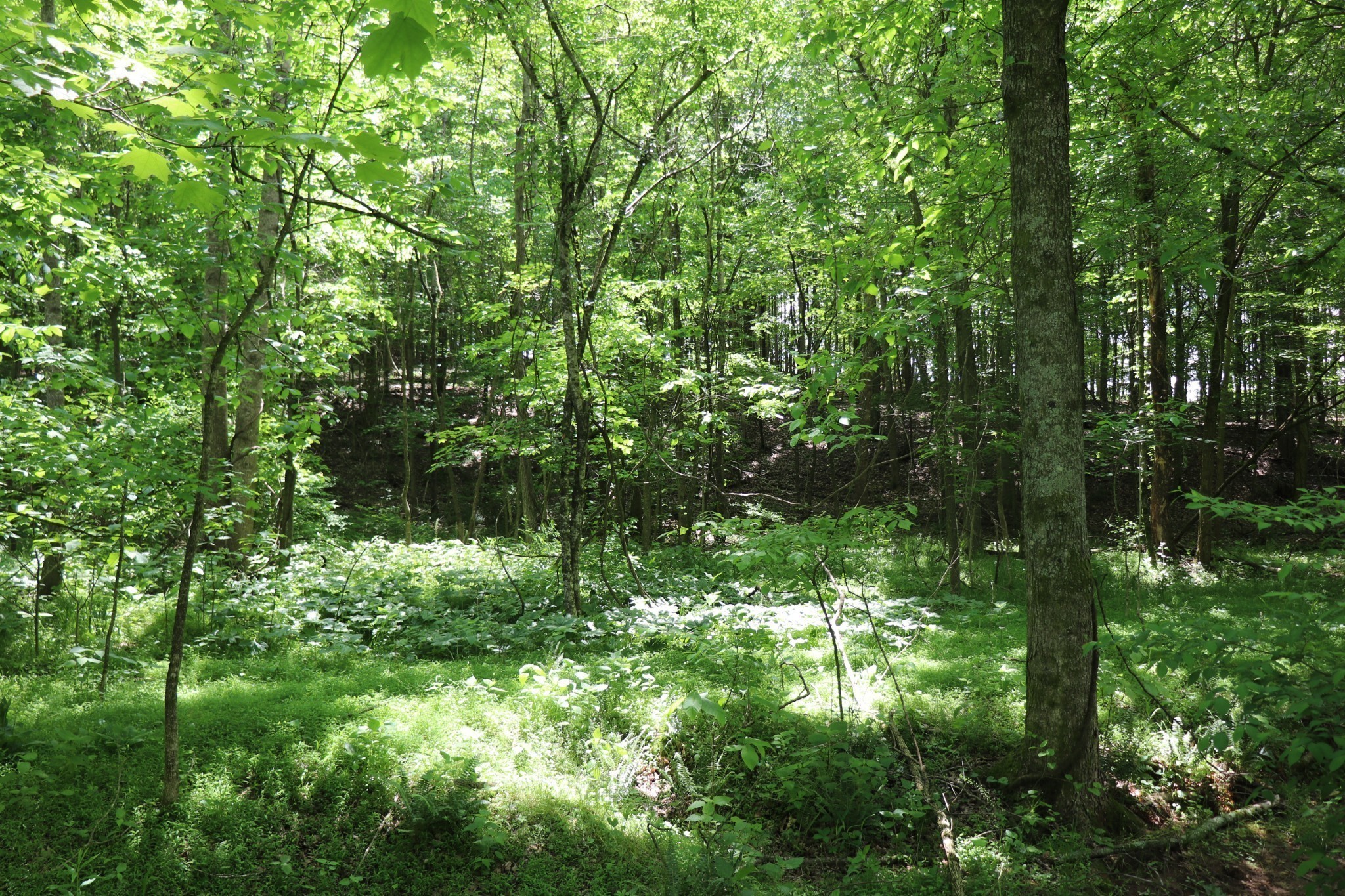6 Sadlers Chapel Road Lafayette, TN 37083 - Photo 18 of 20 Gallery Image 18