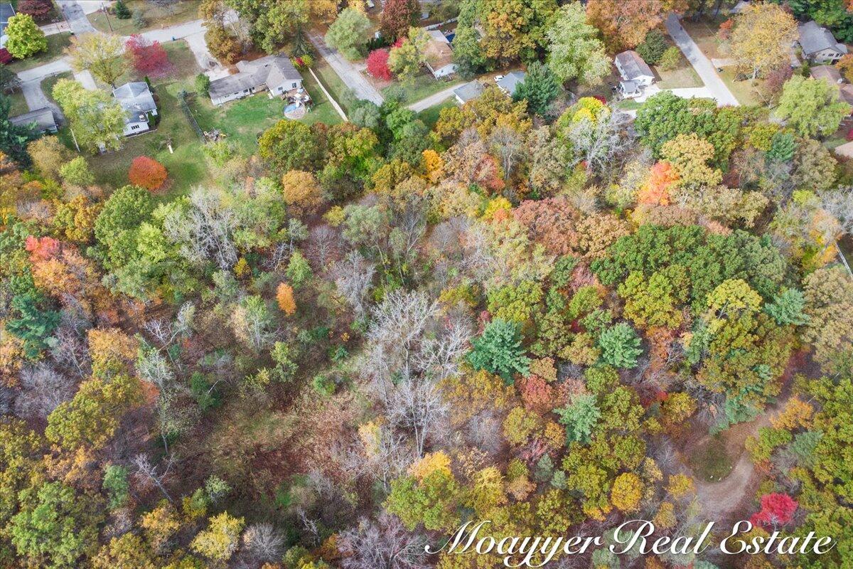 632 Edgewood Street Belding, MI 48809 - Photo 4 of 9 10-DJI_0454