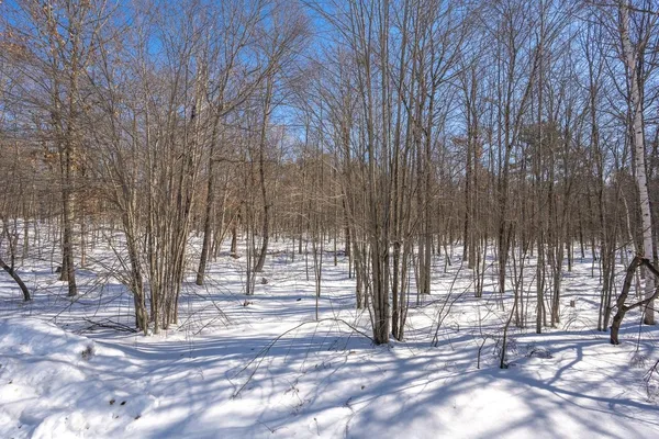 $250,000 | 7956 North Dixon Avenue, Hayward, WI 54843