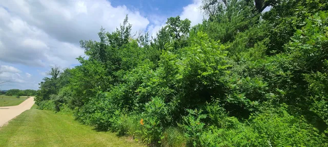 $24,900 | 0 East Rogene (1.8 Ac) Drive, Oregon, IL 61061