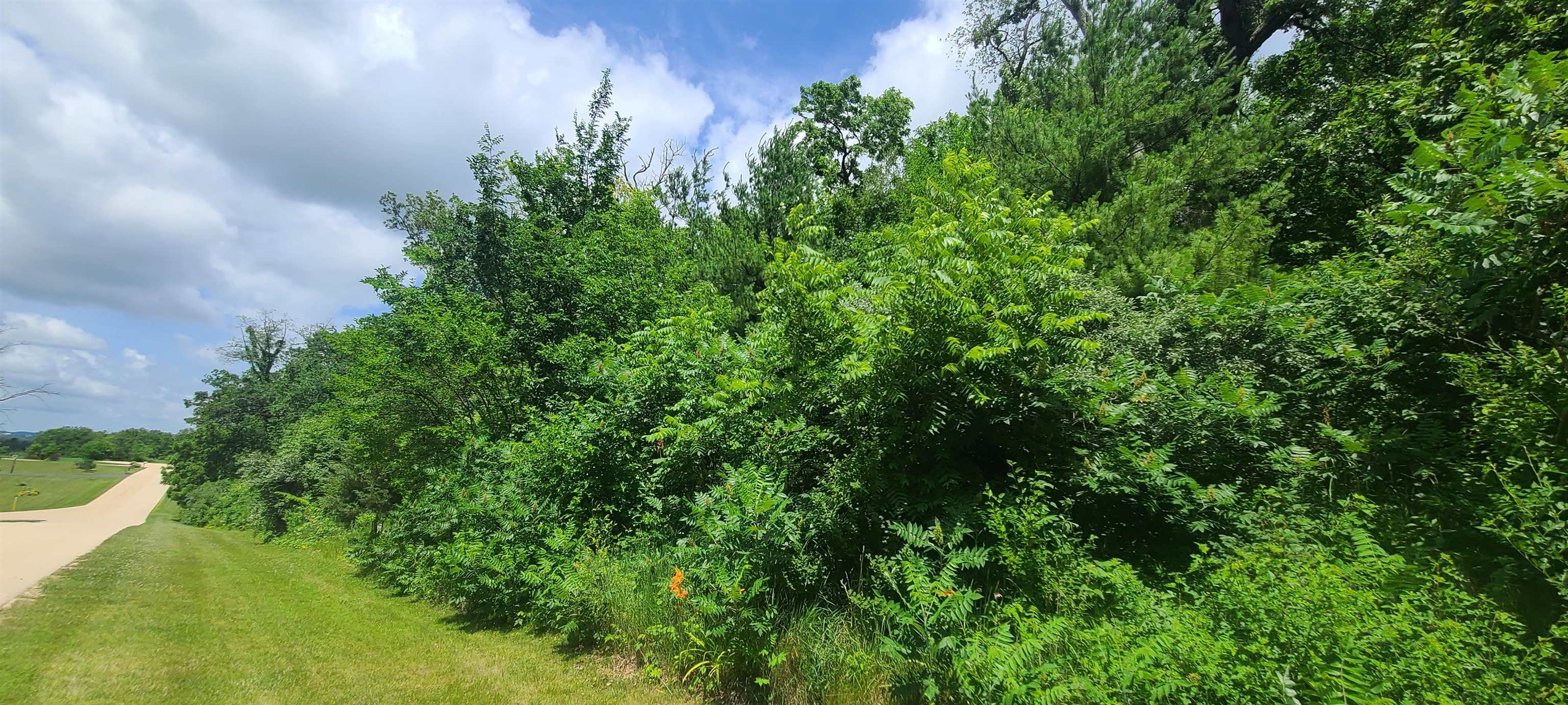 0 East Rogene (1.8 Ac) Drive Oregon, IL 61061 - Photo 2 of 8