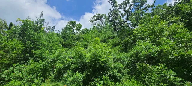 $24,900 | 0 East Rogene (1.8 Ac) Drive, Oregon, IL 61061