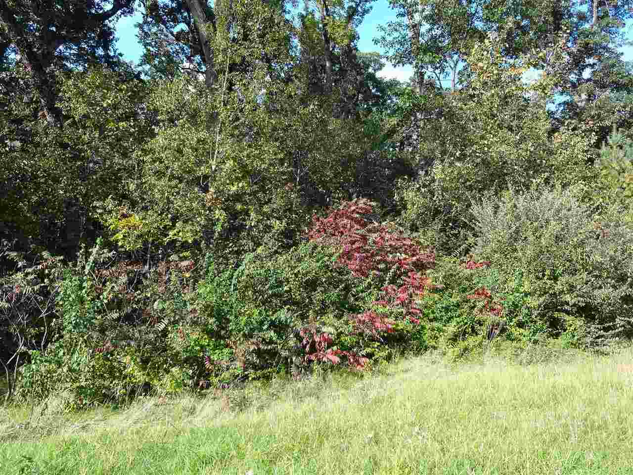 0 East Rogene (1.8 Ac) Drive Oregon, IL 61061 - Photo 5 of 8