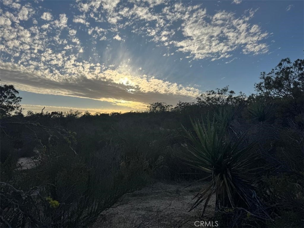 0 Springbrook Trail Anza, CA 92539 - Photo 12 of 13 a view of a yard in front of the house