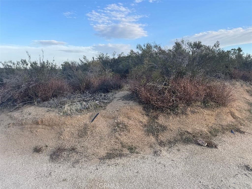 0 Springbrook Trail Anza, CA 92539 - Photo 5 of 13 a view of a dry field with trees in the background