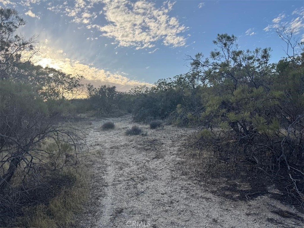 0 Springbrook Trail Anza, CA 92539 - Photo 6 of 13 a view of a dry yard with lots of green space