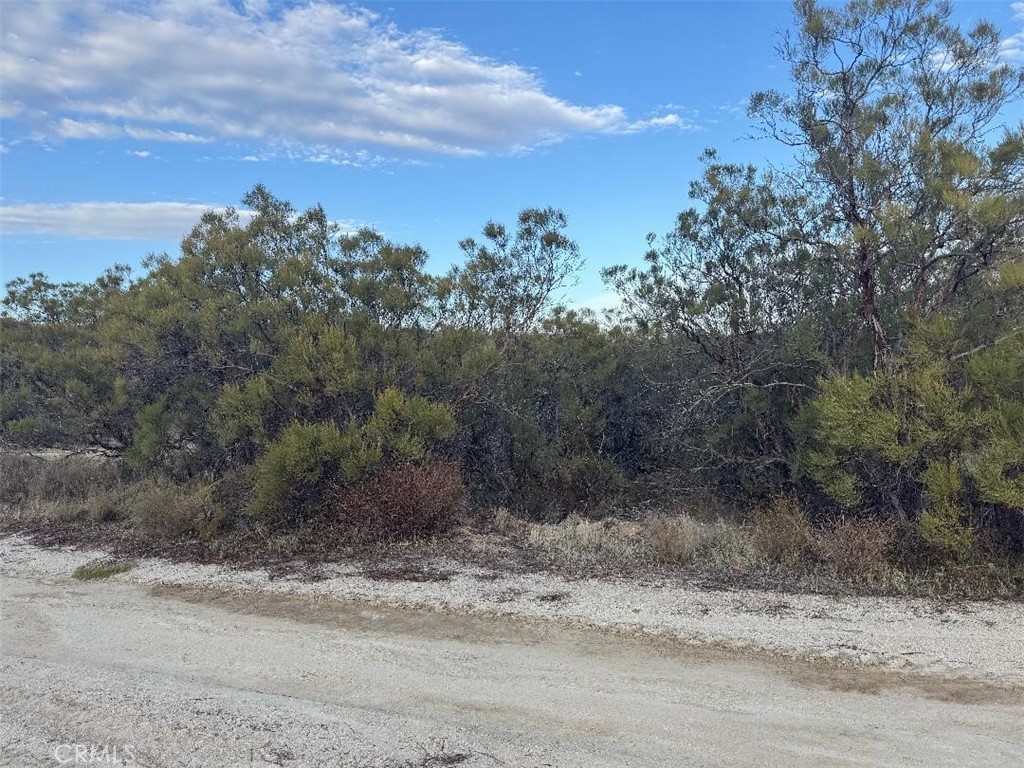 0 Springbrook Trail Anza, CA 92539 - Photo 7 of 13 a view of a yard with a tree