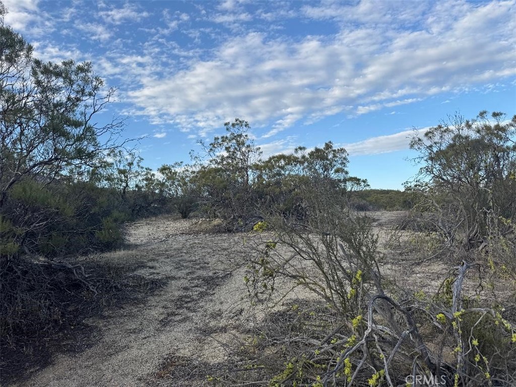 0 Springbrook Trail Anza, CA 92539 - Photo 8 of 13 a view of a field with trees in the background