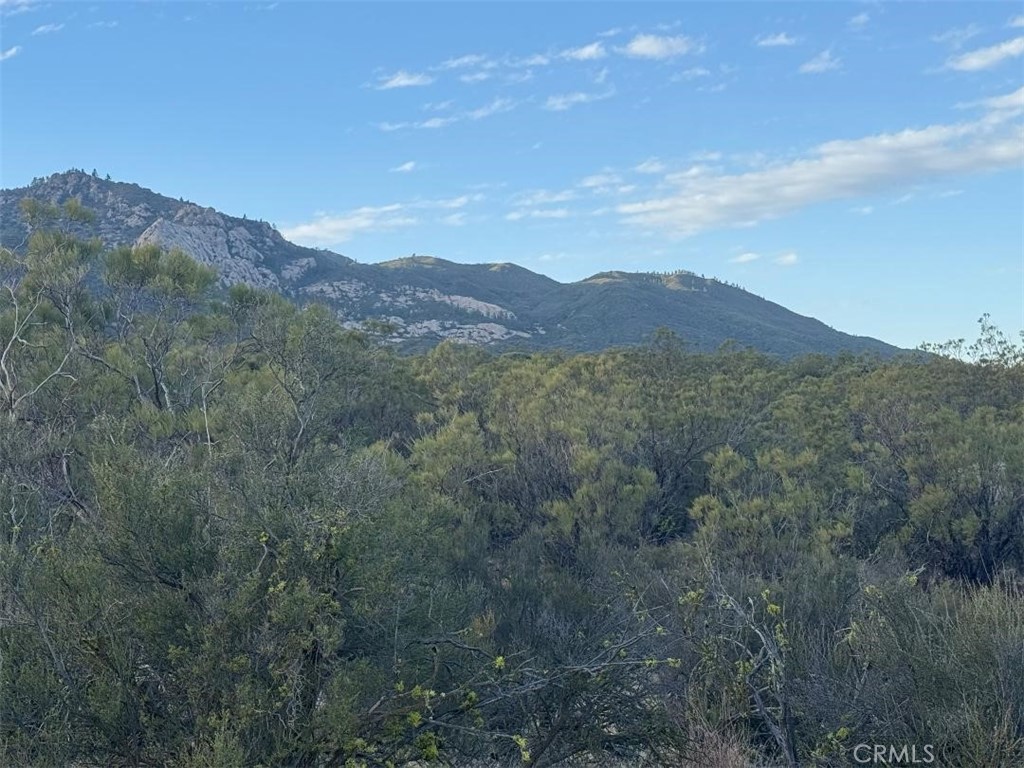 0 Springbrook Trail Anza, CA 92539 - Photo 10 of 13 a view of a mountain range with lush green forest