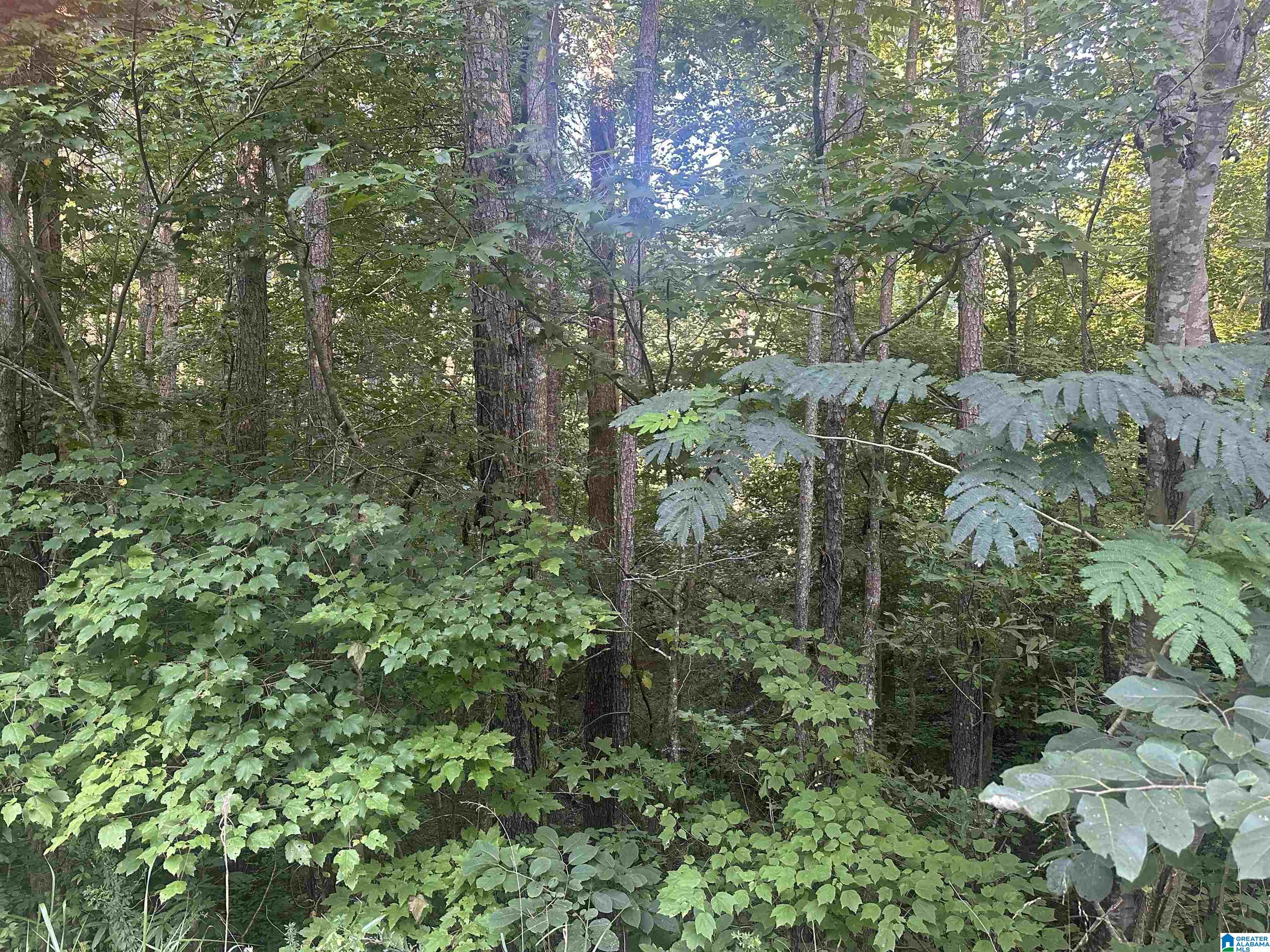 195 Hamilton Lane, Unit 195 Riverside, AL 35135 - Photo 6 of 11
