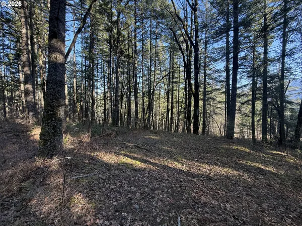 $375,000 | Seward Road, Stevenson, WA 98648